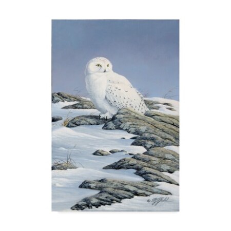 Trademark Fine Art Wilhelm Goebel 'Snowy Owl' Canvas Art, 22x32 ALI33908-C2232GG